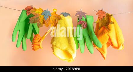 Detergents and cleaning accessories on a green background. Housekeeping  concept Stock Photo - Alamy