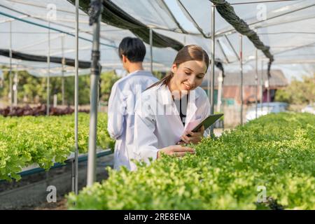 Biologist in test for laboratory analyze. Two scientists stand in organic farm. check, laboratory in greenhouse Stock Photo