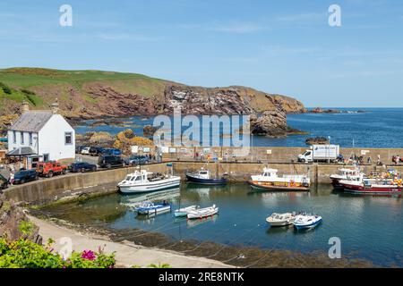 St Abbs harbour in the Scottish Borders with the cliffs of St Abbs head in the background on a sunny May day. Stock Photo
