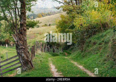 Path in the autumn mountains. Stock Photo