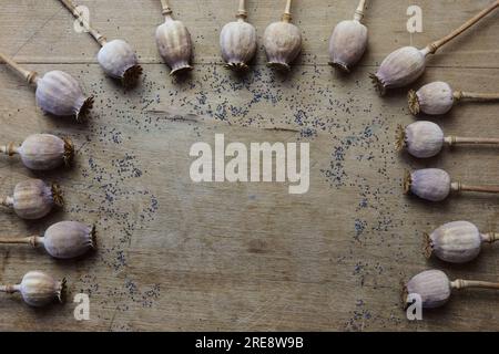 dried poppies and poppy seeds on a wooden table Stock Photo