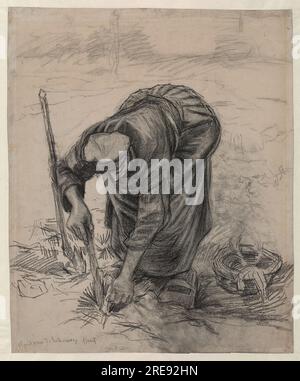 Title: Peasant Woman Planting Beets Artist: Vincent van Gogh Date: 1885 Dimensions: 53,5 x 43,8 cm Medium: Drawing. Black chalk Location: Museum Boijmans Van Beuningen, Rotterdam, Netherlands Stock Photo