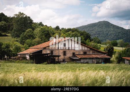Exterior of wooden house located on grassy meadow near lush green trees with mountain against cloudy sky in countryside on summer day Stock Photo