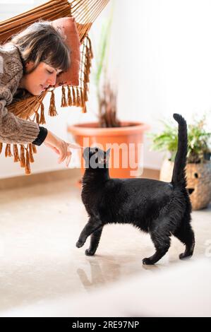Side view of positive young female in casual sweater lying on hammock bed while stroking cute black Scottish fold cat over smooth room floor in modern Stock Photo