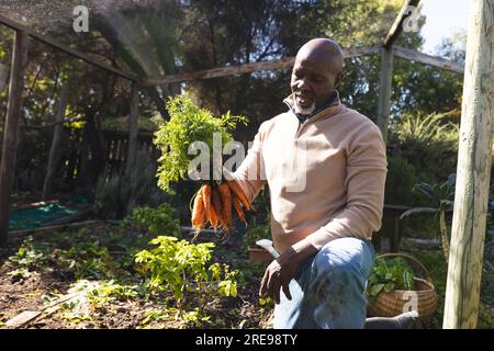 Happy senior african american man holding carrots in garden Stock Photo