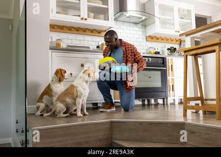 Happy african american man feeding his pet dogs in kitchen at home Stock Photo
