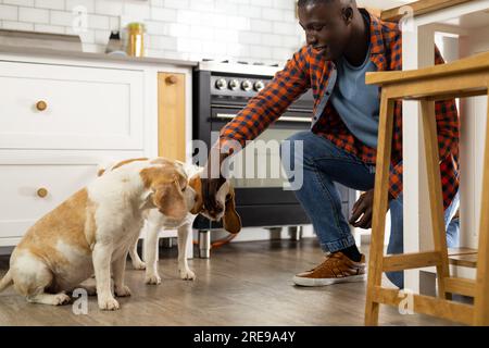 Happy african american man feeding his pet dogs in kitchen at home Stock Photo