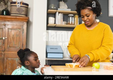 https://l450v.alamy.com/450v/2re9aaw/happy-african-american-mother-and-daughter-preparing-lunch-for-school-in-kitchen-at-home-2re9aaw.jpg