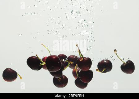 Close up of cherries falling into water with copy space on white background Stock Photo