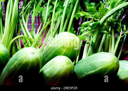 Fresh green cucumber and Chinese celery isolated on white background Stock Photo