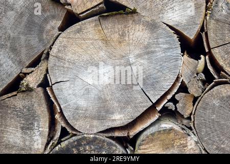 Chopped firewood is stacked in neat piles. Woodpile. Background. Close-up. Selective focus. Stock Photo