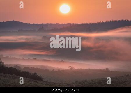 Sunrise over a shallow wooded valley with glowing orange sky and light mist lit by the sun. Bracken and bushes cover the foreground view into the Vall Stock Photo