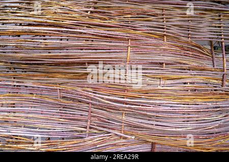 The wall is woven from branches. beautiful wall decor, background Stock Photo