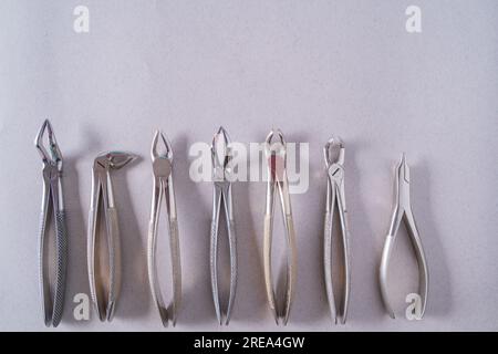 dental tools on gray background top view,flat lay Stock Photo