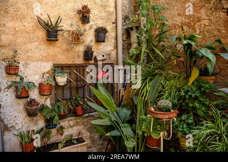 Details of the village of Bovera on a spring morning (Les Garrigues, Lleida, Catalonia, Spain) ESP: Detalles del pueblo de Bovera (Lérida, España) Stock Photo