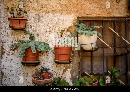 Details of the village of Bovera on a spring morning (Les Garrigues, Lleida, Catalonia, Spain) ESP: Detalles del pueblo de Bovera (Lérida, España) Stock Photo