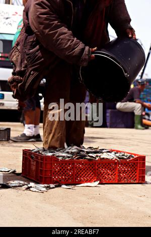 At the Fishermen's Port: Skilled Hands Weaving Baskets Stock Photo