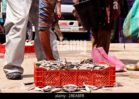 At the Fishermen's Port: Skilled Hands Weaving Baskets Stock Photo