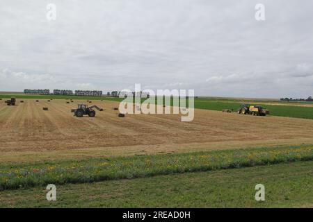 a beautiful rural landscape in summer with a baler and a tractor with a front loader, that is loading straw bales at a wagon Stock Photo