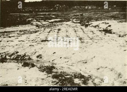 'Ecological study of the Amoco Cadiz oil spill : report of the NOAA-CNEXO Joint Scientific Commission' (1982) Stock Photo