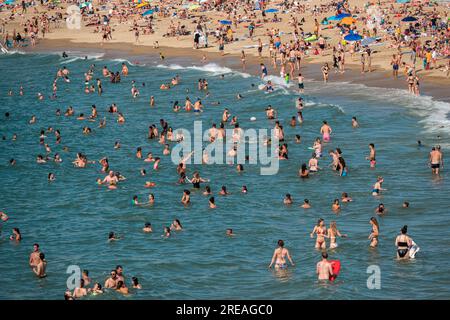 Many people bathing on a beach. Stock Photo