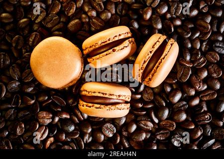 Flavoured coloured macarons on a bed of coffee beans Stock Photo