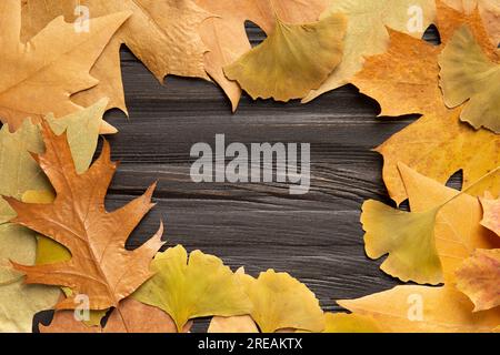 Colorful autumn leaves on wooden background, flat lay, copy space. Background from yellow autumn leaves. Stock Photo