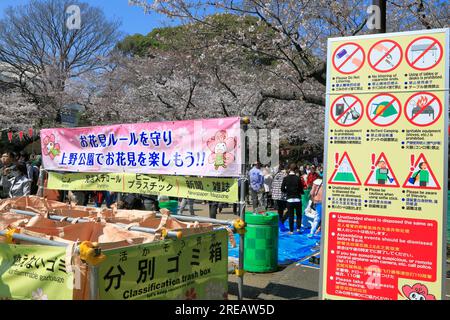 Separation of garbage Stock Photo