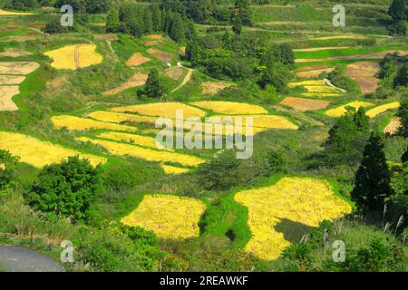 Rice terraces of Hoshitoge Stock Photo