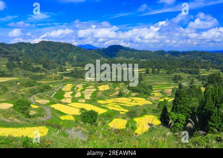 Rice terraces of Hoshitoge Stock Photo