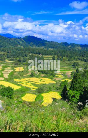 Rice terraces of Hoshitoge Stock Photo