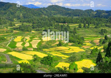 Rice terraces of Hoshitoge Stock Photo