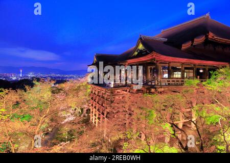 Cherry blossoms illuminated in Kiyomizu-dera Stock Photo