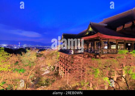 Cherry blossoms illuminated in Kiyomizu-dera Stock Photo