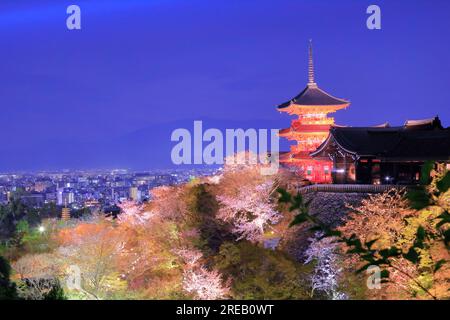 Cherry blossoms illuminated in Kiyomizu-dera Stock Photo