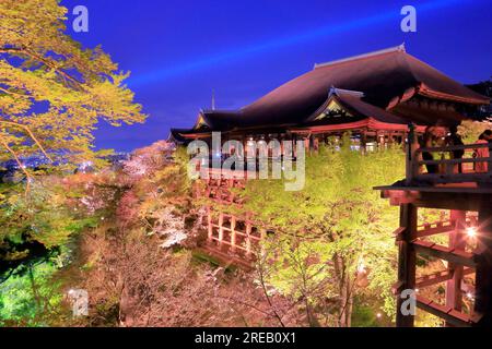 Cherry blossoms illuminated in Kiyomizu-dera Stock Photo