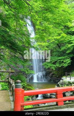 Minoh Falls in early summer Stock Photo