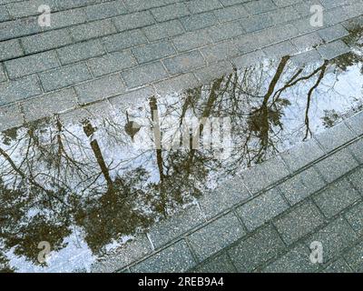 flooded pavement after heavy rain with sky and trees reflections in water puddle surface Stock Photo