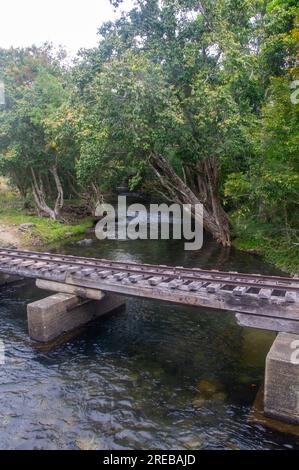 Little Mulgrave River, Peaceful Tree lined river scene, with railway bridge for Sugar Cane haulage, Cairns, Australia. Stock Photo