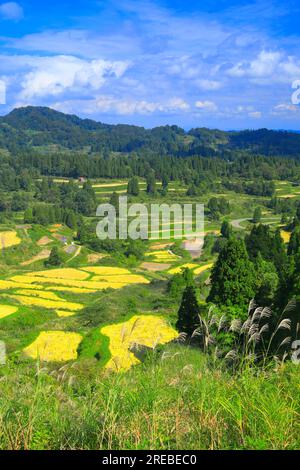 Rice terraces of Hoshitoge Stock Photo