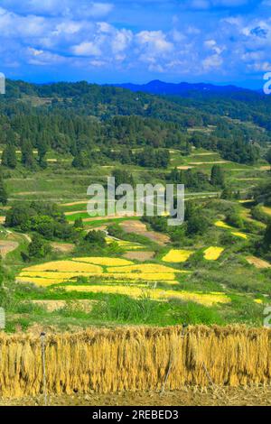 Rice terraces of Hoshitoge Stock Photo