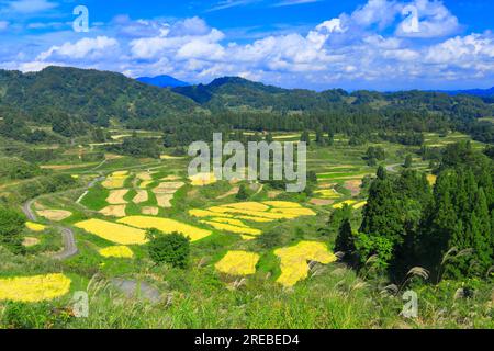 Rice terraces of Hoshitoge Stock Photo