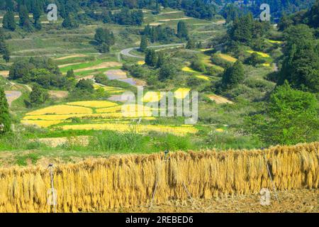 Rice terraces of Hoshitoge Stock Photo