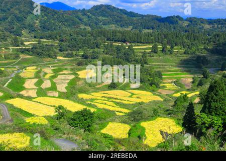 Rice terraces of Hoshitoge Stock Photo