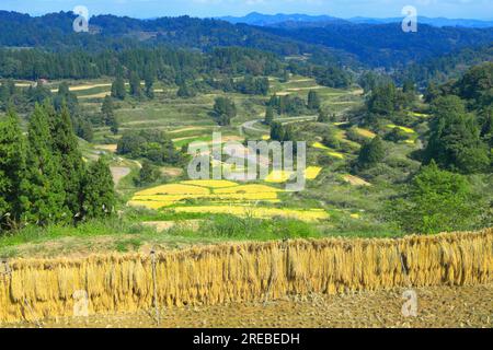 Rice terraces of Hoshitoge Stock Photo