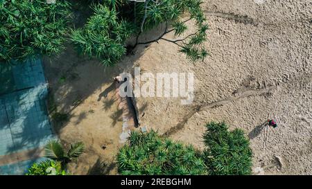 View from above a man with remote controller, controls a flying drone on white sand in Patong beach, Phuket, Thailand Stock Photo