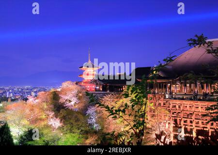 Cherry blossoms illuminated in Kiyomizu-dera Stock Photo