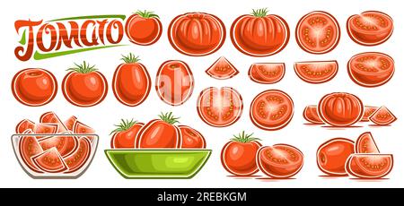 Vector Red Tomato Set, collection of cut out cartoon design vegetarian still life compositions with green leaves, raw juicy oval tomatoes in glass dis Stock Vector