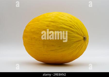 Canary yellow melon isolated on white background. Stock Photo
