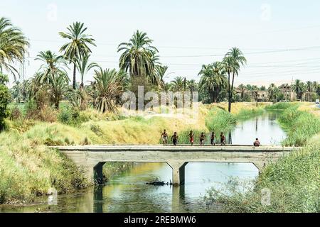 View across rural egypt near river Nile in Egypt rural countryside ...